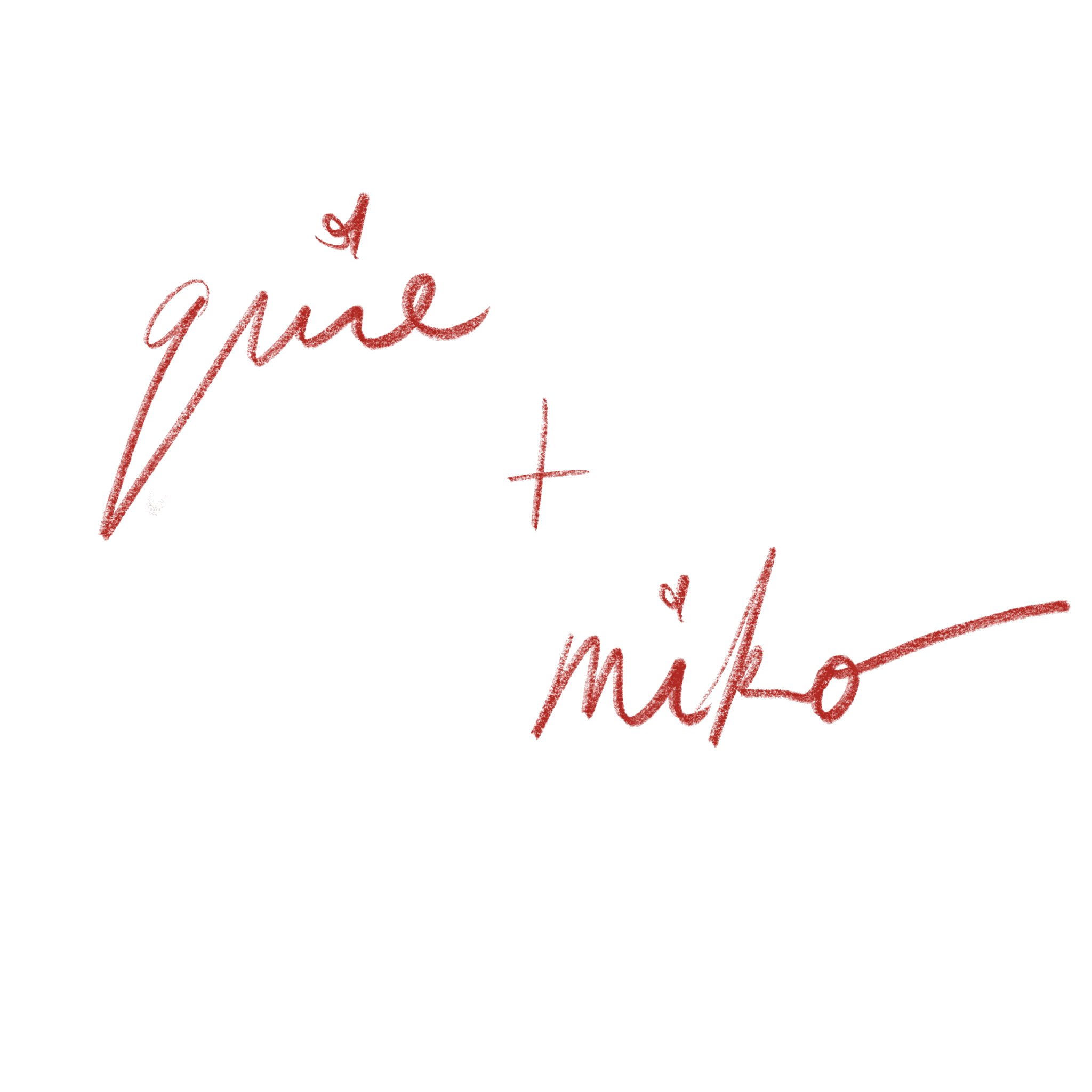 Basic media image